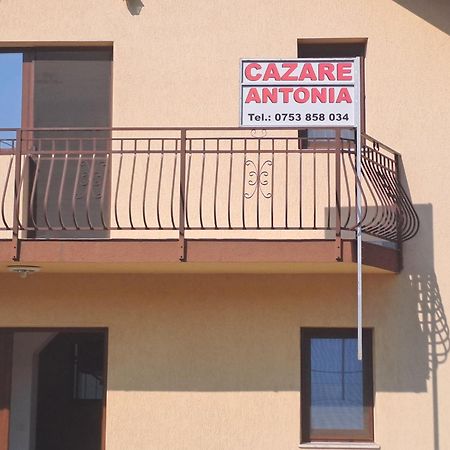Cazare Antonia Curtea de Argeş 外观 照片